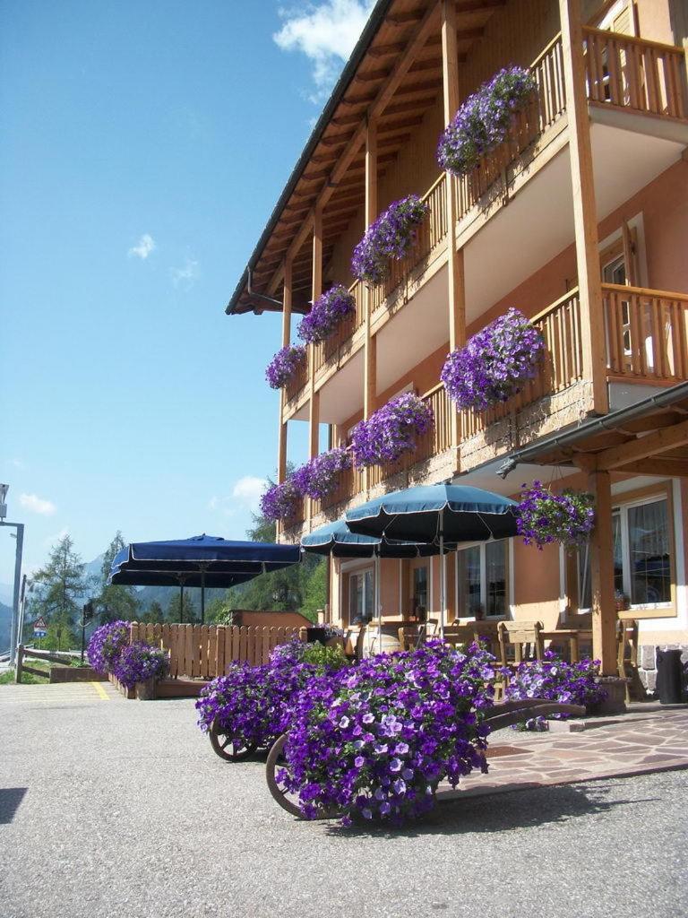 Hotel Vallechiara Moena Εξωτερικό φωτογραφία